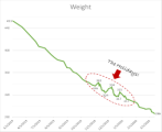 Make a Plan – Stick to It – Lose Weight