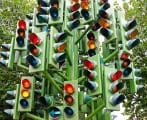 Watch the Right Signals