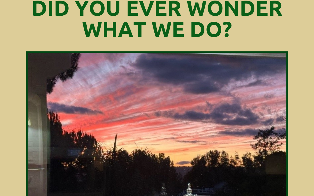 Did You Ever Wonder What We Do?